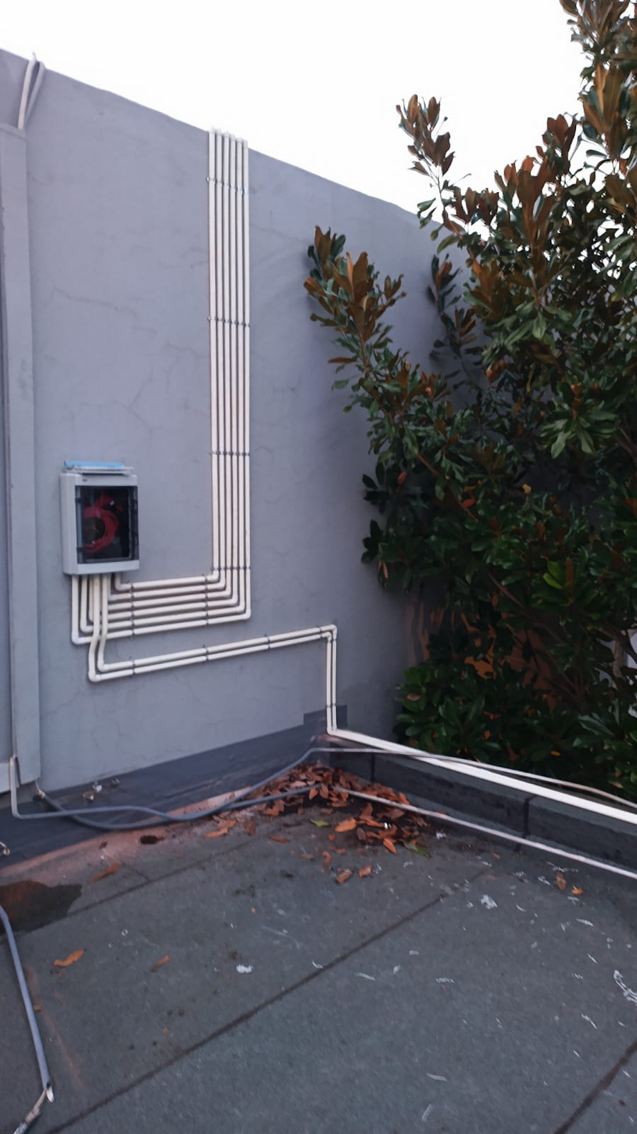 WhatsApp Image 2024-08-21 at 13.22.49 (1)